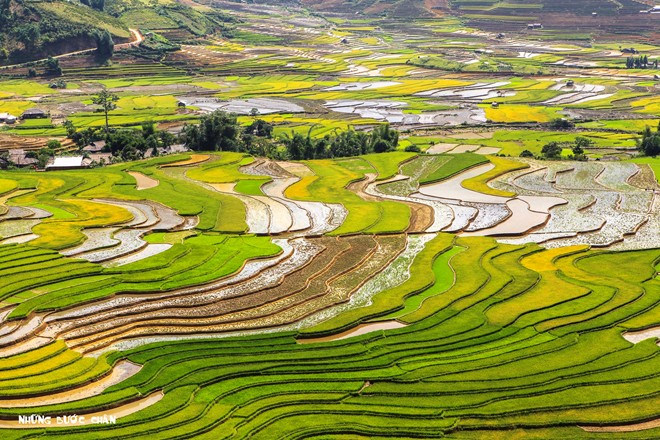 Mùa nước đổ đẹp mê hoặc trên cánh đồng ruộng bậc thang Khau Phạ thường diễn ra vào tháng 5-6 hằng năm.