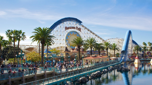 Theo quy định từ tháng 6/2015 của Disney, khách tham quan không được phép mang theo gậy tự sướng trong khuôn viên Disneyland và Disney World.