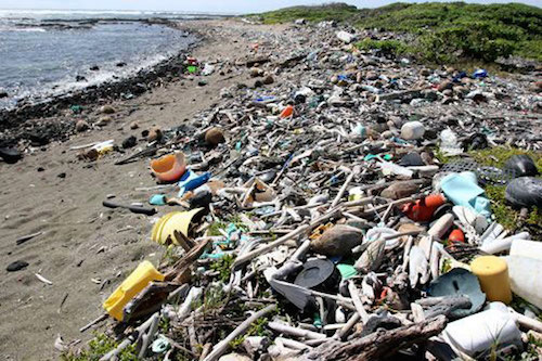 Kamilo trở thành nơi chứa rác của đại dương. Ảnh: Algalita.org.