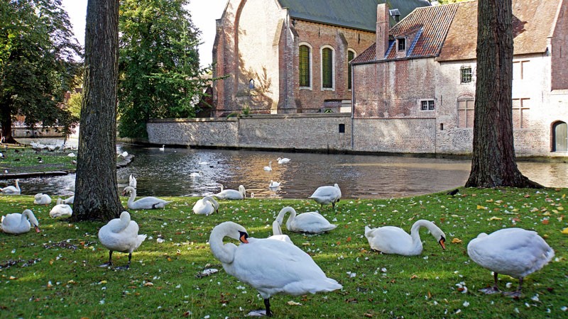 Bruges4