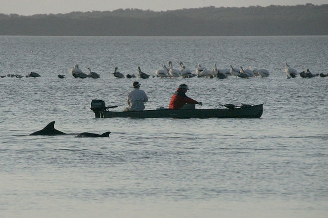 Everglades-9-1462789719_660x0